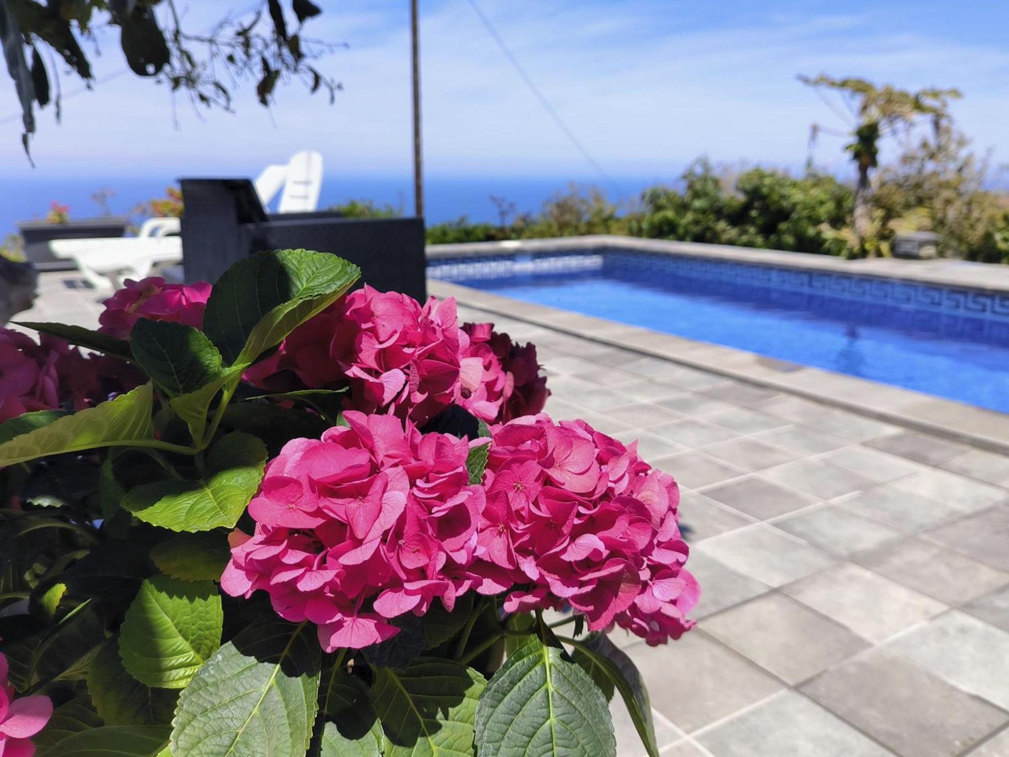 Apartamentos Guayonje Costa Santa Cruz de Tenerife Esterno foto