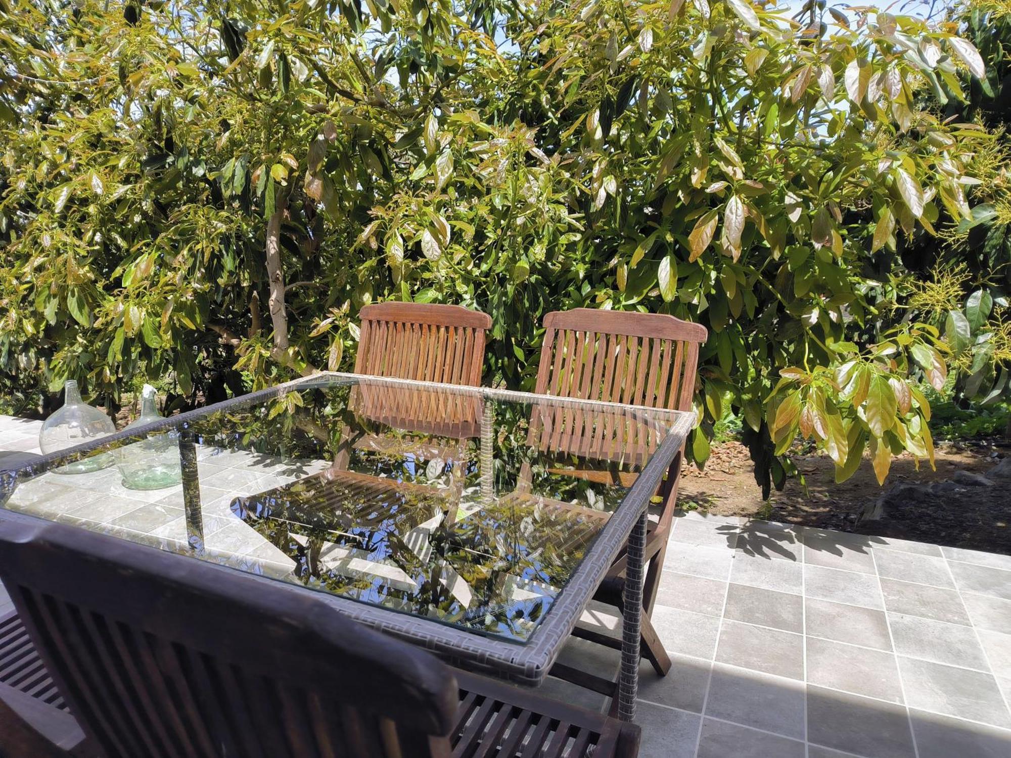 Apartamentos Guayonje Costa Santa Cruz de Tenerife Esterno foto