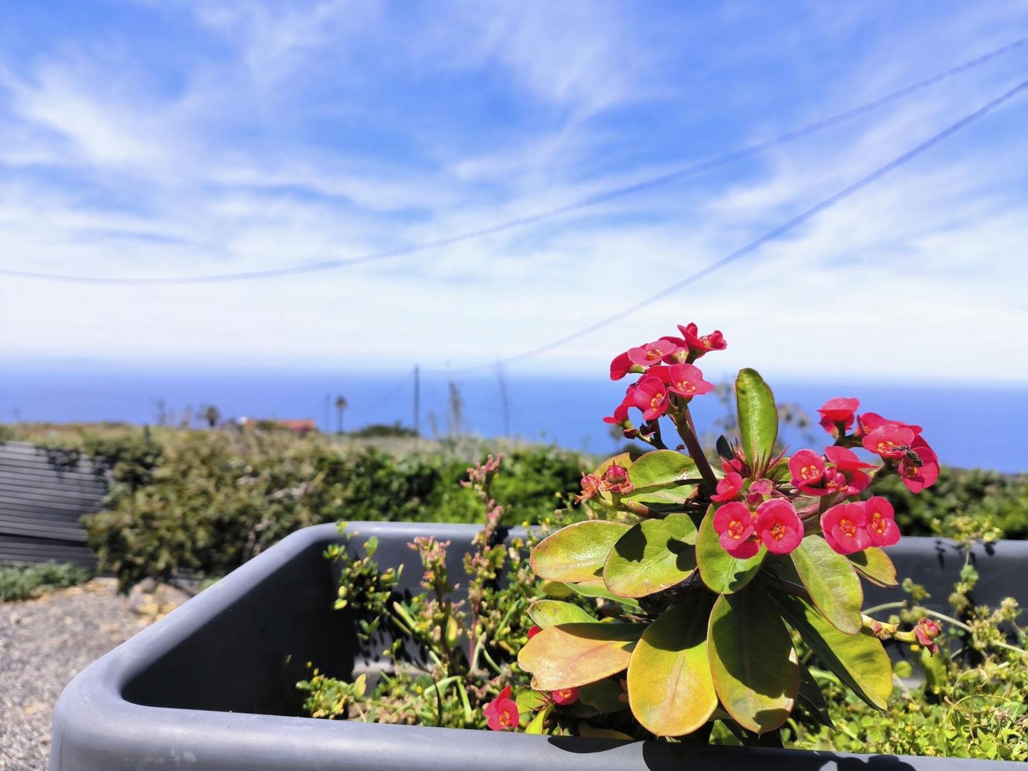 Apartamentos Guayonje Costa Santa Cruz de Tenerife Esterno foto